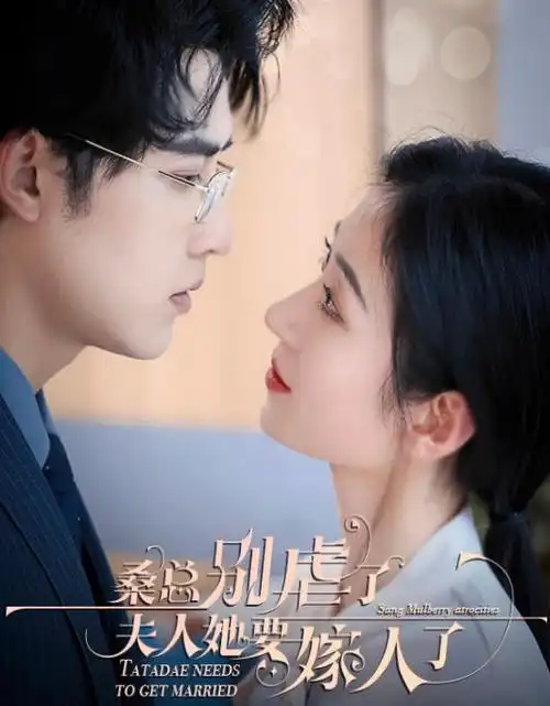 《大明王朝1566》长片库卡片配图